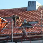 Marderprobleme am Dach – Schäden erkennen und richtig handeln